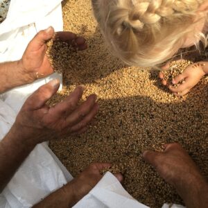 grani antichi val borbera dernice azienda agricola